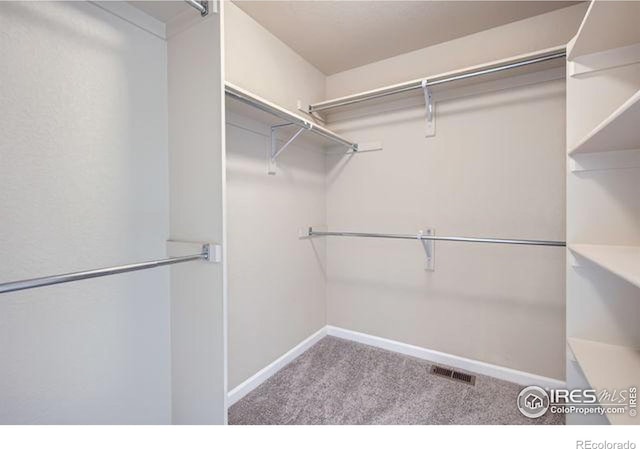 walk in closet featuring visible vents and carpet flooring