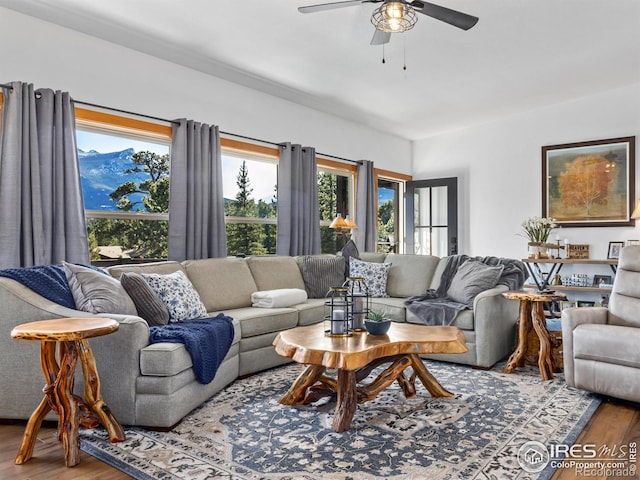 living area featuring ceiling fan and wood finished floors