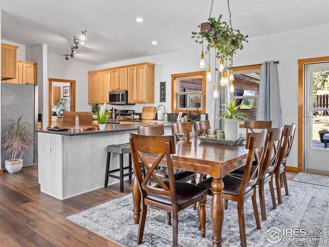 dining space featuring wood finished floors, rail lighting, and recessed lighting