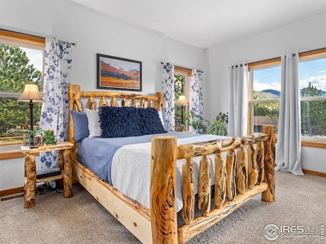 bedroom featuring multiple windows, carpet, and baseboards