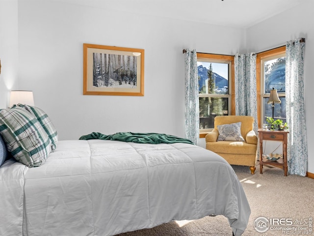 carpeted bedroom featuring multiple windows