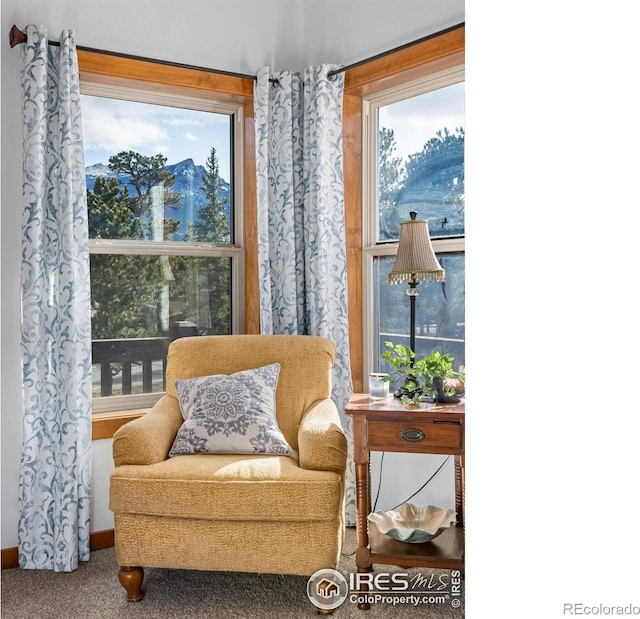 sitting room with a wealth of natural light and carpet