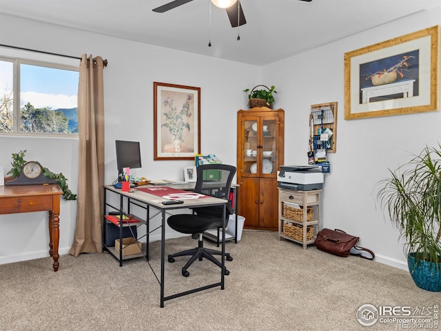 office featuring a ceiling fan, carpet flooring, and baseboards