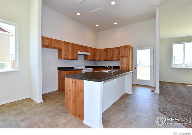 390 Halcyon Way, Windsor, CO 80550