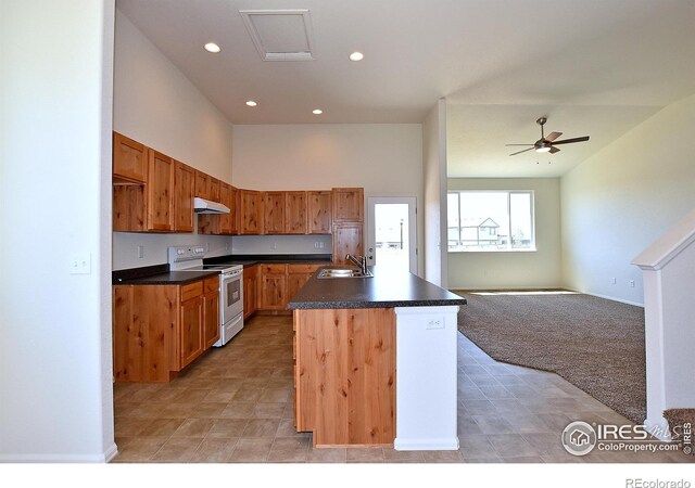 390 Halcyon Way, Windsor, CO 80550