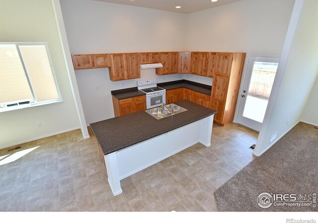390 Halcyon Way, Windsor, CO 80550