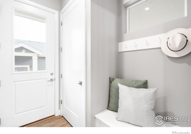 mudroom featuring wood finished floors