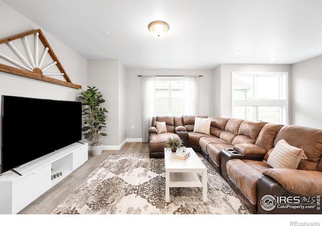 living room featuring baseboards and wood finished floors