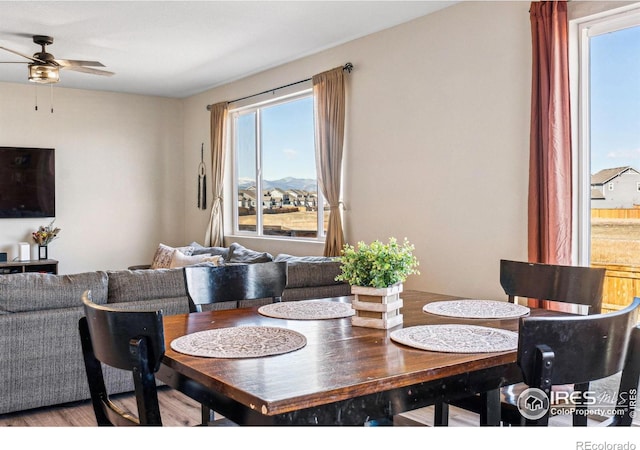 dining area featuring a ceiling fan and wood finished floors