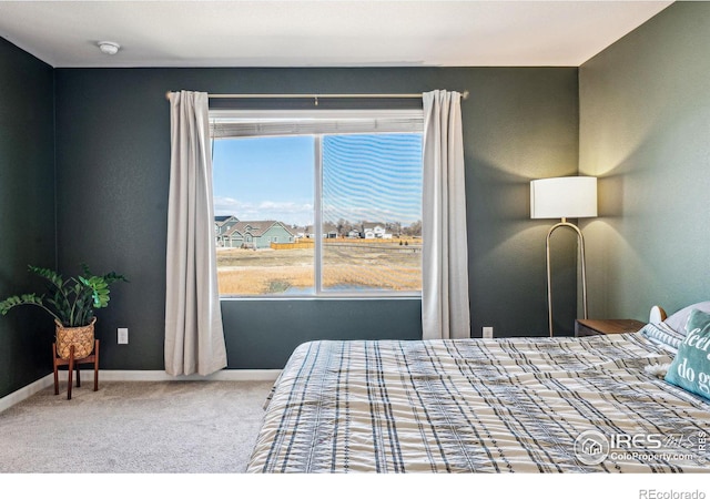 bedroom with baseboards and carpet flooring