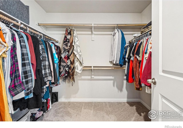 spacious closet with carpet