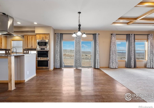 kitchen featuring island range hood, dark wood-type flooring, decorative light fixtures, stainless steel appliances, and a sink