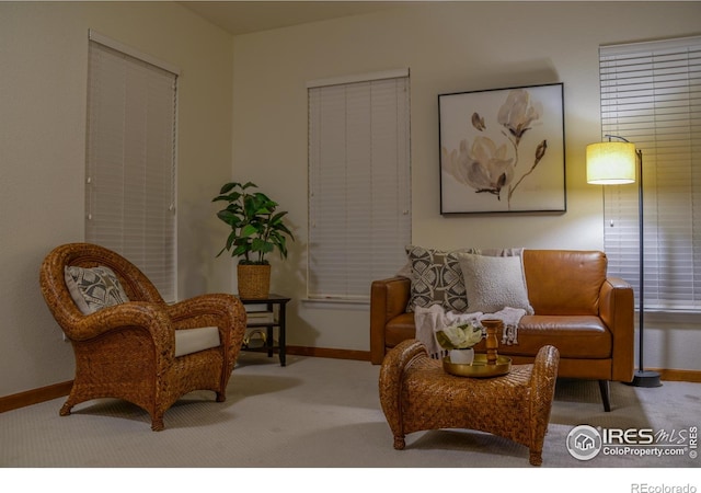 sitting room featuring baseboards and carpet flooring