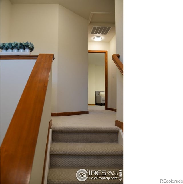 stairway featuring carpet floors, baseboards, and visible vents