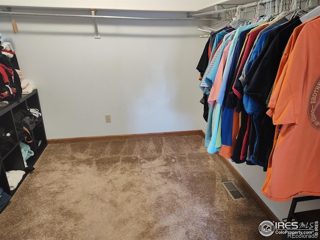 walk in closet with visible vents and carpet flooring