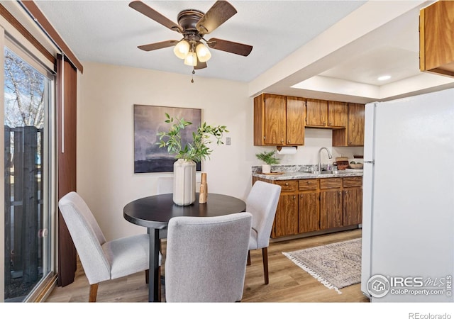 dining area featuring light wood-style flooring and a ceiling fan