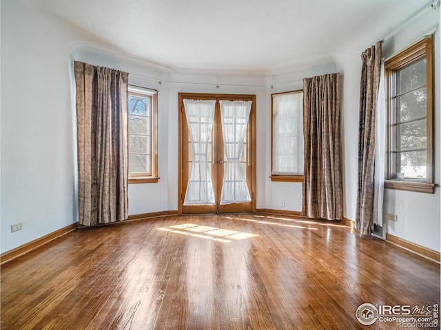 empty room featuring a wealth of natural light, french doors, baseboards, and wood finished floors