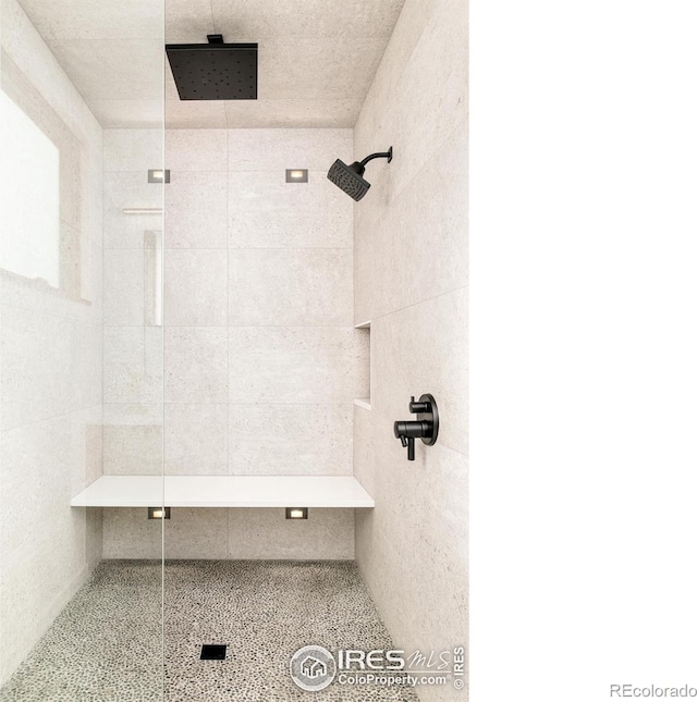 2586 3rd St, Boulder, CO 80304 - full bathroom featuring a tile shower and speckle patterned floor