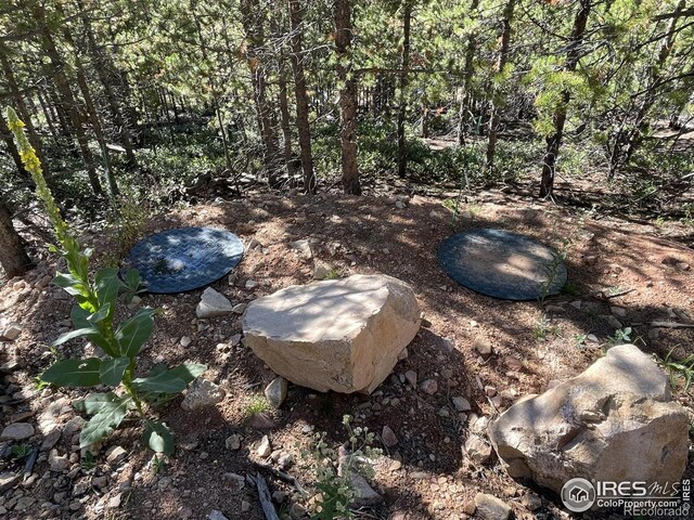 125 Penobscot Ct, Red Feather Lakes, CO 80545