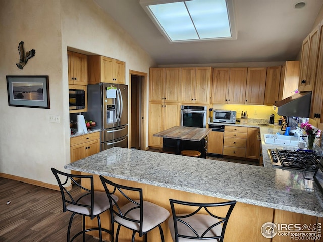 kitchen with dark wood-style floors, stainless steel appliances, lofted ceiling, a peninsula, and under cabinet range hood