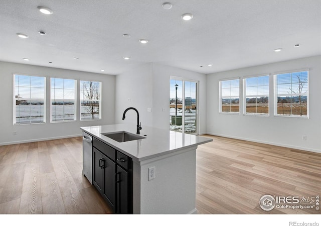 kitchen featuring light countertops, stainless steel dishwasher, light wood-style floors, open floor plan, and a sink