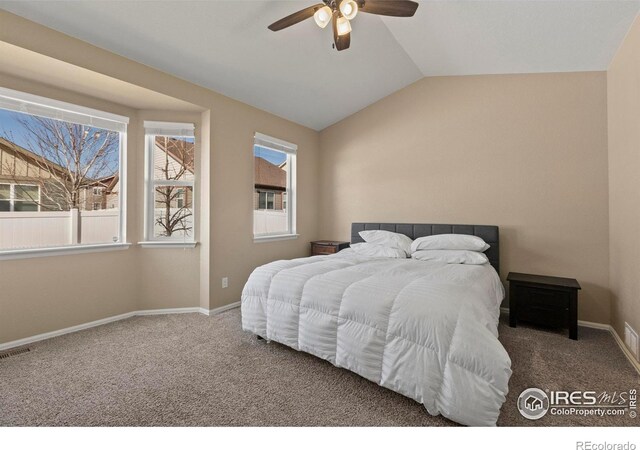 443 Tahoe Dr, Loveland, CO 80538 - photo 21
