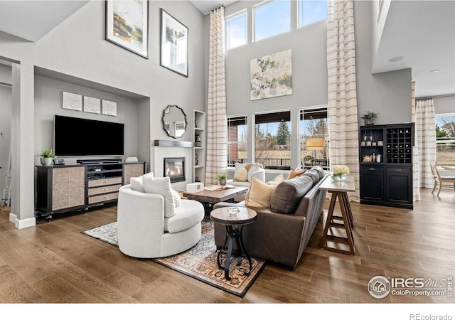 living area featuring a healthy amount of sunlight, wood finished floors, and a glass covered fireplace