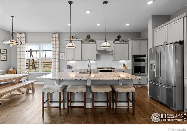 kitchen featuring dark wood finished floors, appliances with stainless steel finishes, a sink, under cabinet range hood, and backsplash