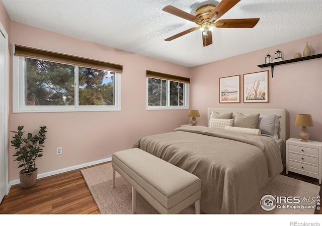 3031 Eastborough Dr, Fort Collins, CO 80525 - photo 16