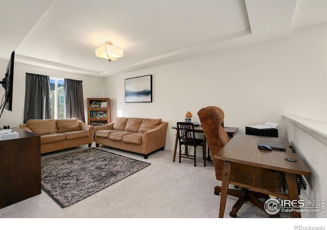 carpeted office space featuring a raised ceiling