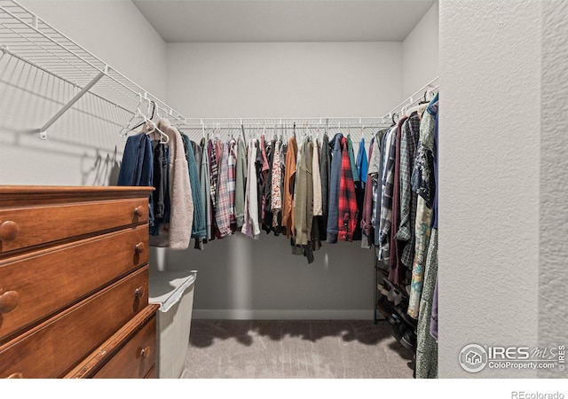 spacious closet with carpet