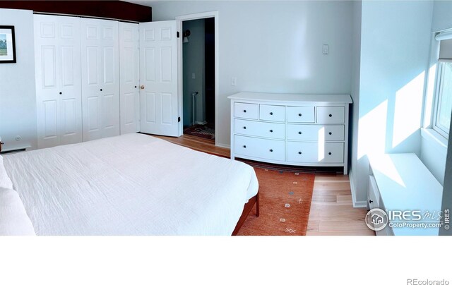 unfurnished bedroom featuring wood finished floors and a closet