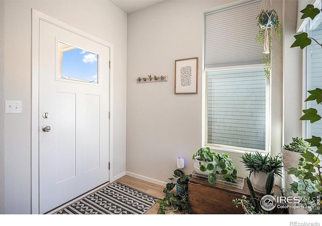 foyer entrance with baseboards and wood finished floors