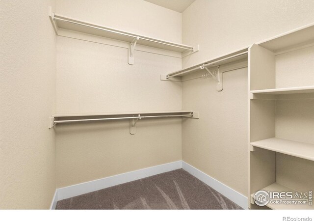 5850 Dripping Rock Ln Unit D201, Fort Collins, CO 80528 - spacious closet featuring dark carpet