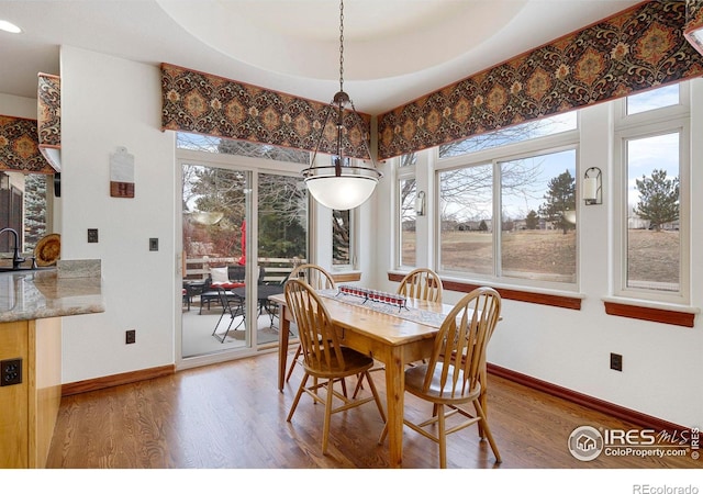 dining area with a tray ceiling, a healthy amount of sunlight, baseboards, and wood finished floors