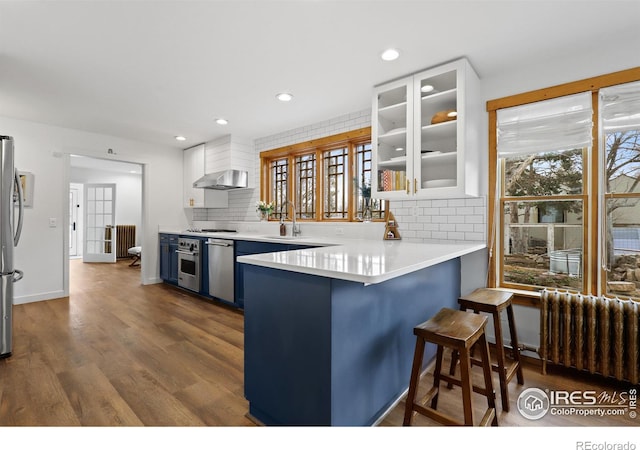 kitchen with dark wood-type flooring, exhaust hood, appliances with stainless steel finishes, radiator, and glass insert cabinets