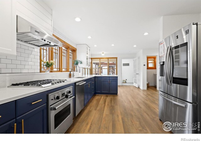 kitchen with stainless steel appliances, blue cabinets, a sink, and extractor fan