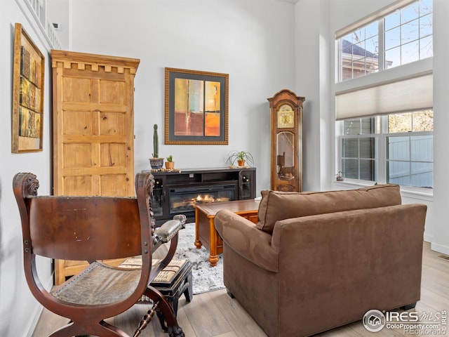 living room with a glass covered fireplace and wood finished floors