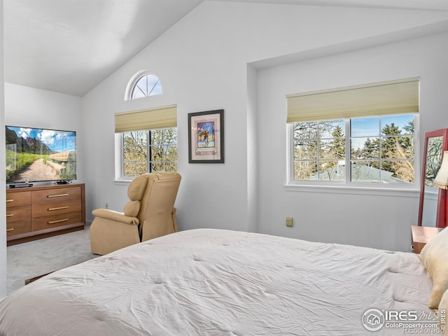 carpeted bedroom featuring vaulted ceiling