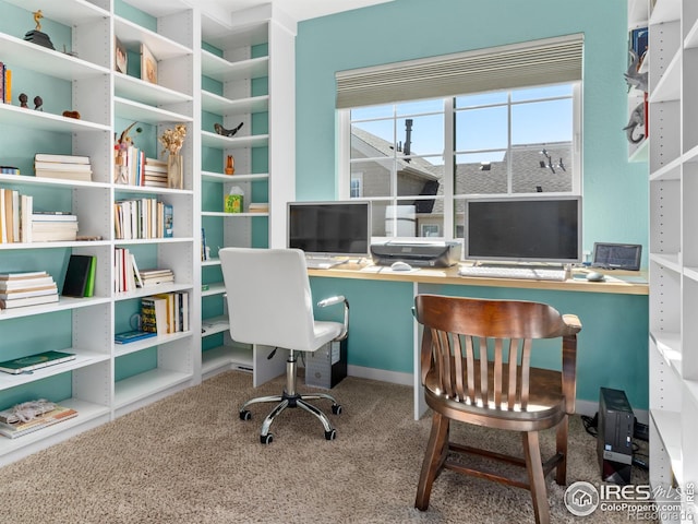 office area featuring carpet