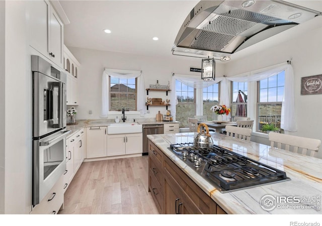 kitchen with a sink, appliances with stainless steel finishes, exhaust hood, and a wealth of natural light