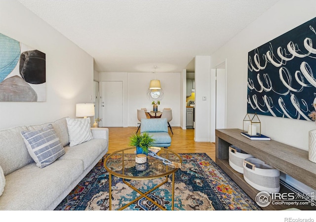 living area with a textured ceiling and wood finished floors