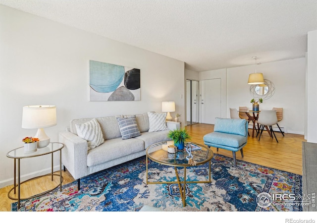 living area with a textured ceiling, wood finished floors, and baseboards