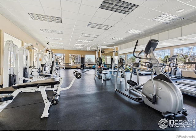 workout area featuring a drop ceiling