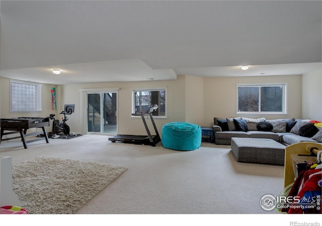 living area featuring carpet flooring