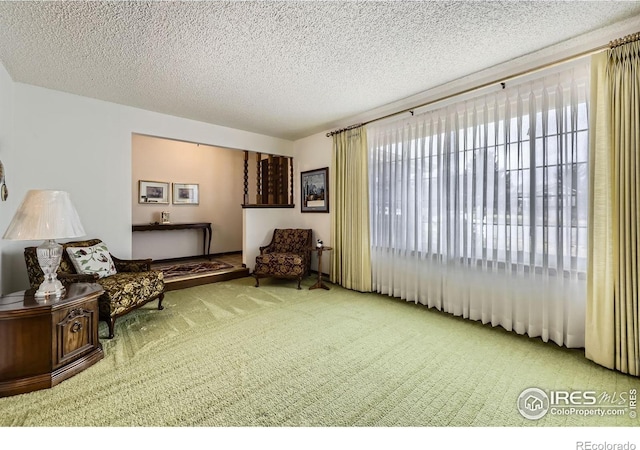 sitting room with carpet and a textured ceiling