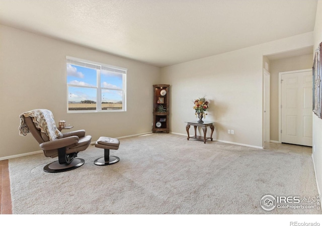 living area with carpet flooring and baseboards