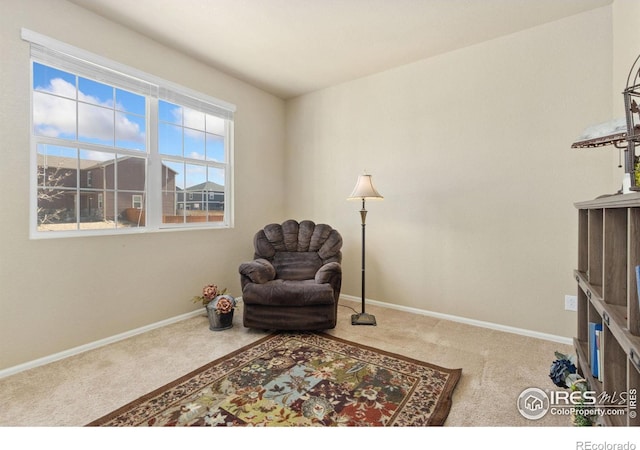 sitting room with baseboards and carpet flooring