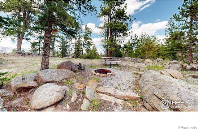 view of yard featuring a fire pit