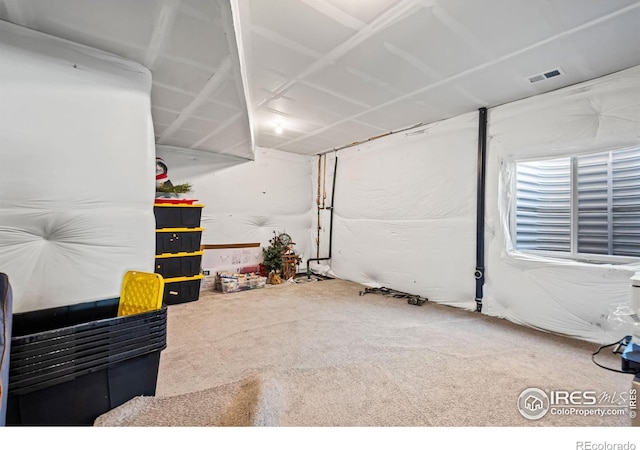 finished basement with carpet and visible vents